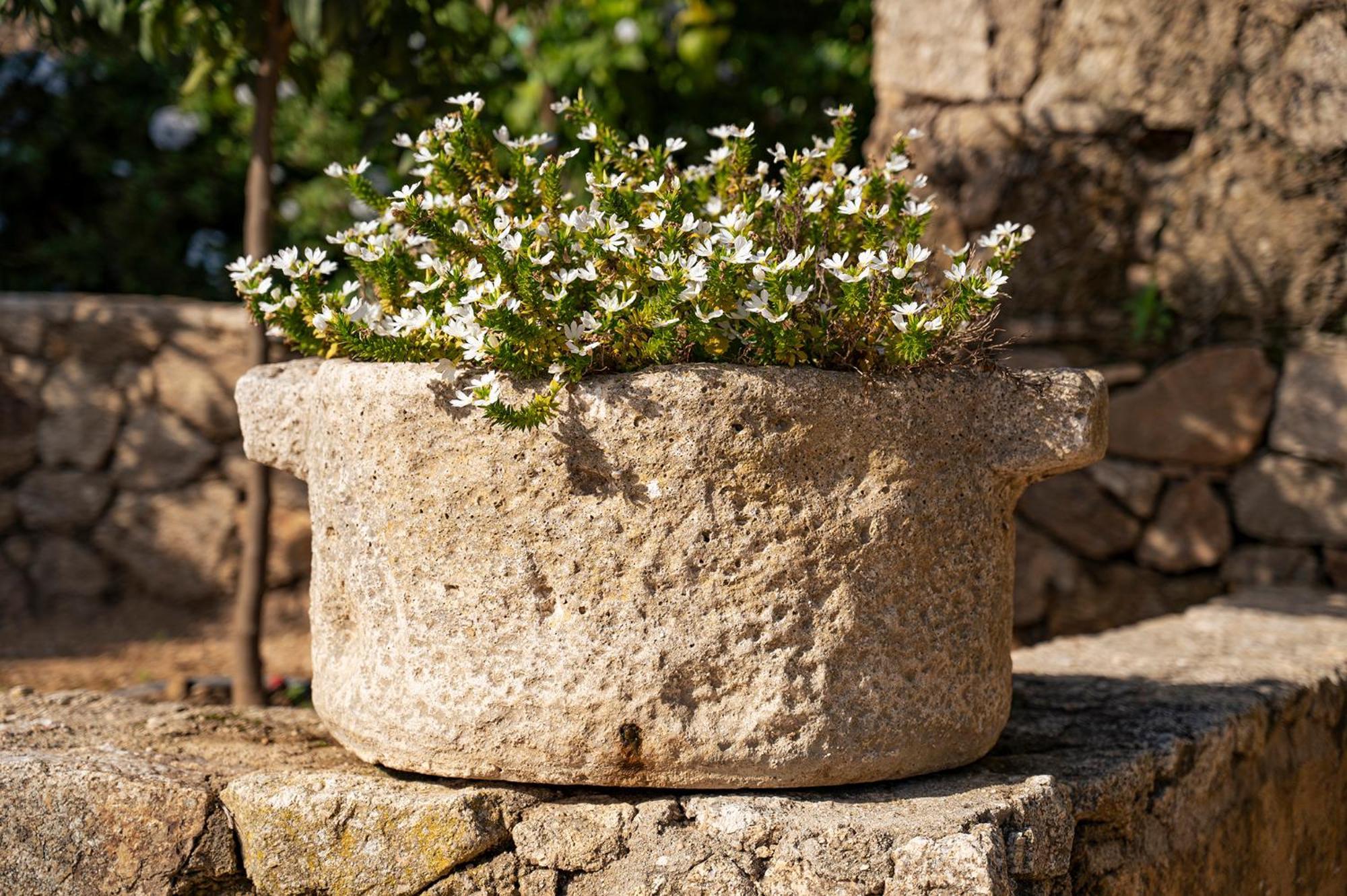 Le Clos De Mansart Grimaud Esterno foto