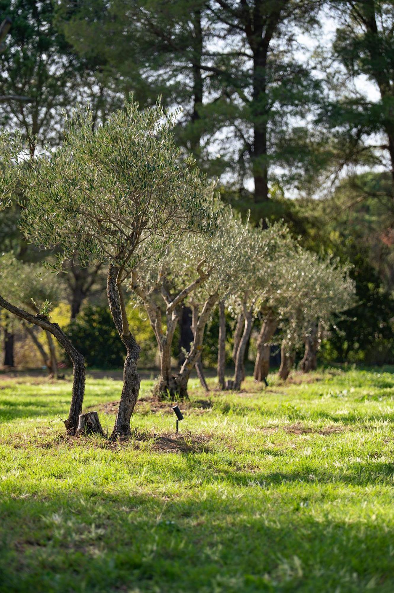 Le Clos De Mansart Bed and Breakfast Grimaud Esterno foto