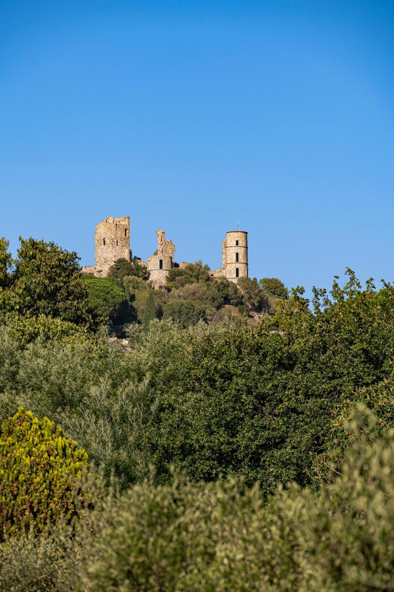 Le Clos De Mansart Bed and Breakfast Grimaud Esterno foto